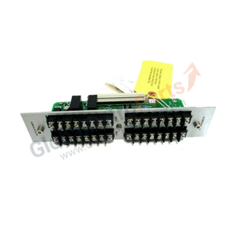 Bently Nevada 122407-01 RTD Input and Record Terminal Module