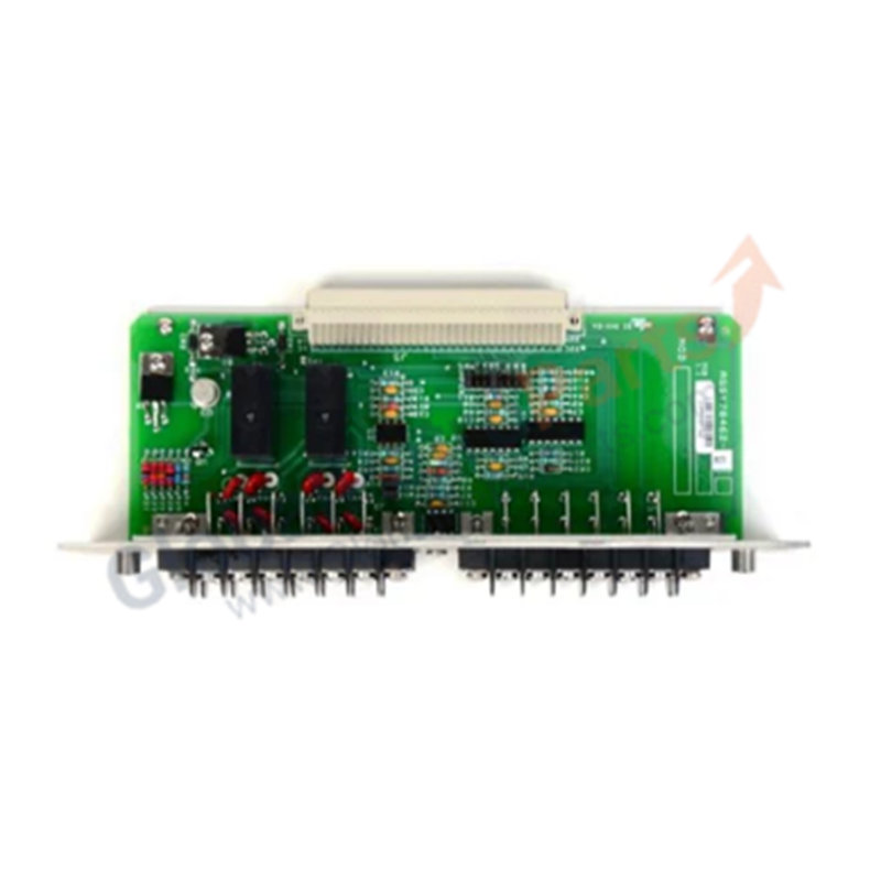 Bently Nevada 122407-01 RTD Input and Record Terminal Module