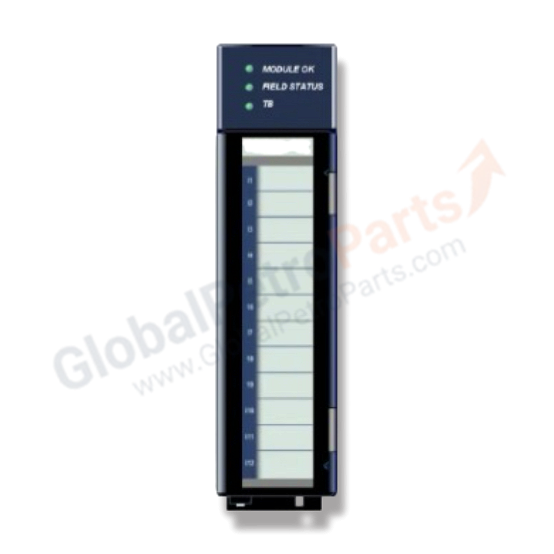 IC695ALG112 | GE Fanuc Isolated Analog Module | 12-Channel