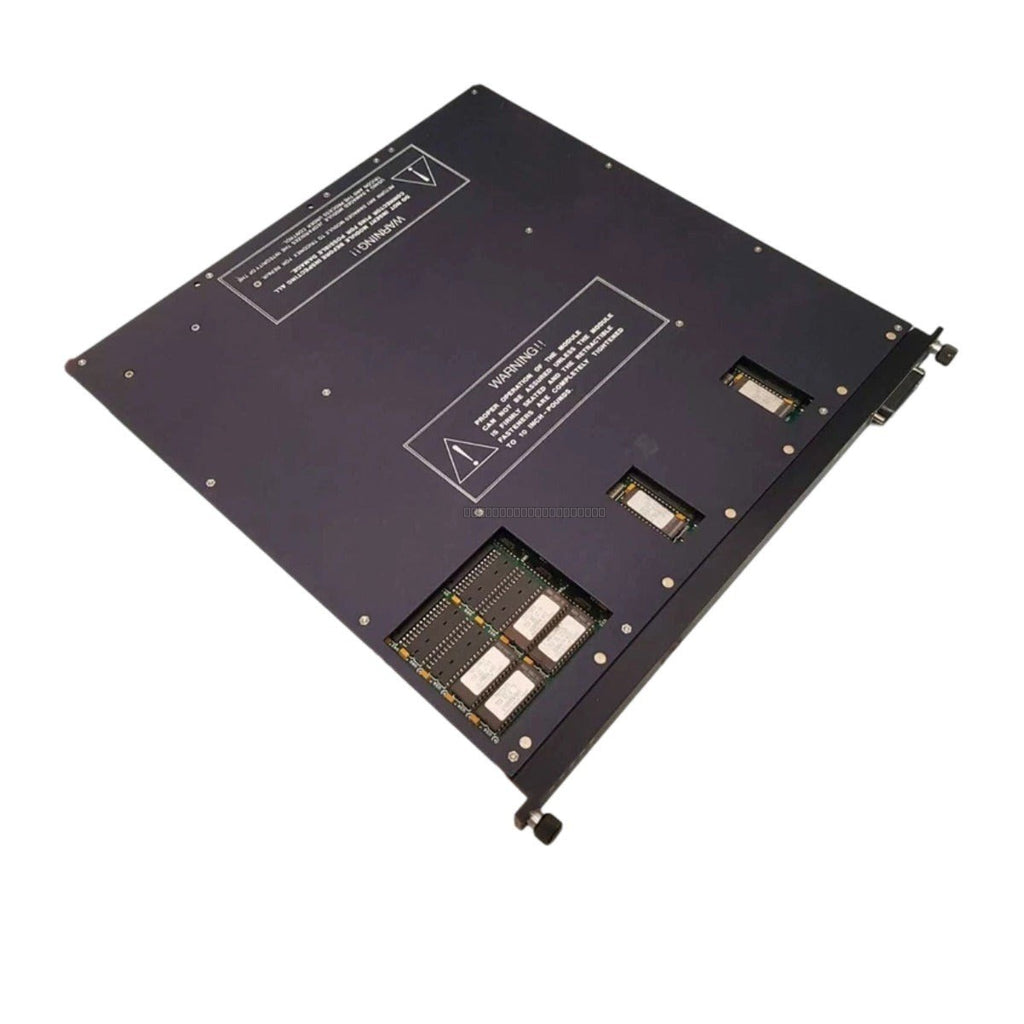 Triconex 3002